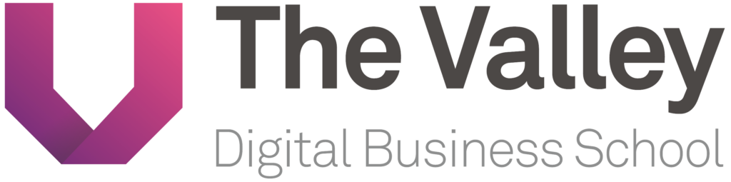 Logo The Valley